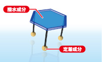 撥水成分と定着成分のイメージ図